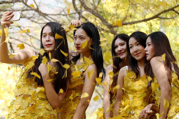 College students wear golden clothes made of gingko leaves